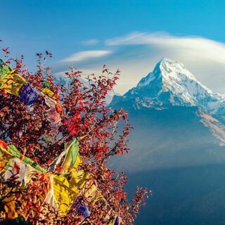 Ghorepani Poon Hill trek best nepal treks