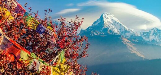 Ghorepani Poon Hill trek best nepal treks