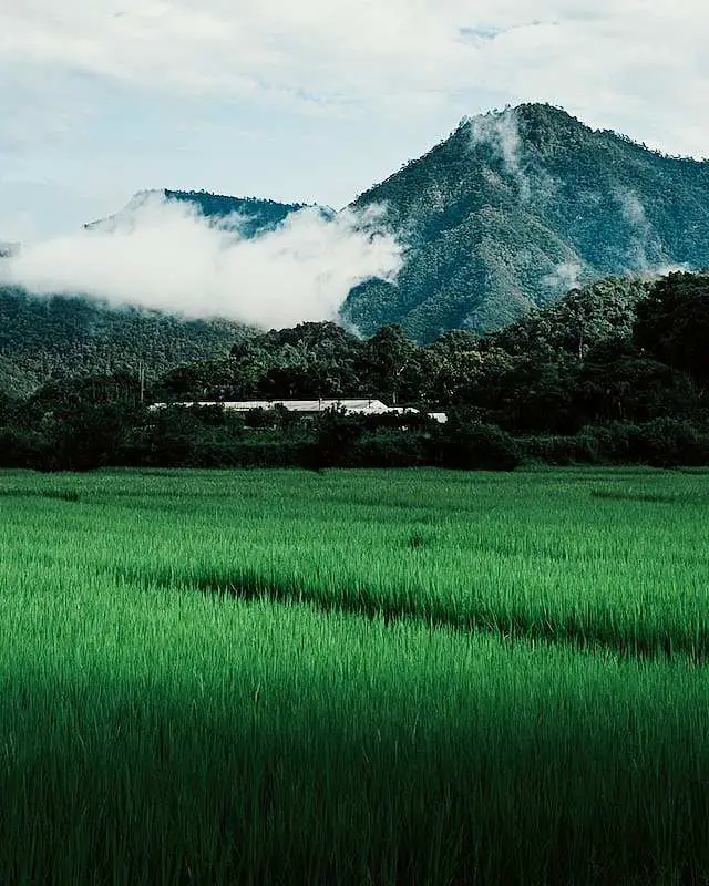 Landscape of Chiang mai known for