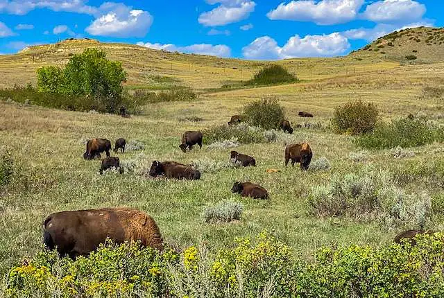 Medora North Dakota weekend getaways midwest