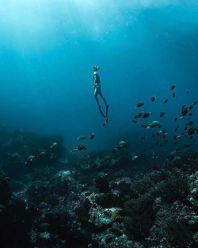 Things to do in Oahu snorkeling diving marine life