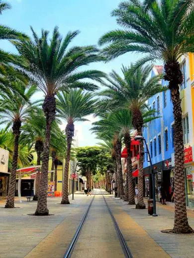 fun things to do in aruba unique vacation spots