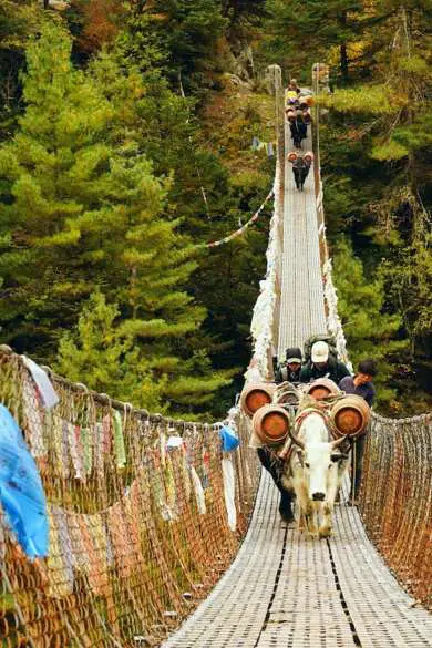 hiking in nepal guide