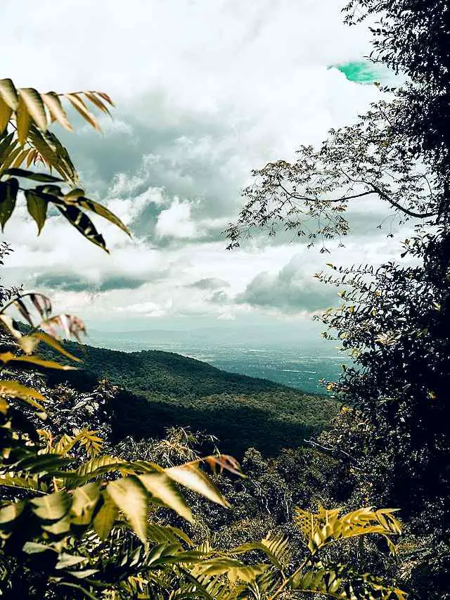 reasons to visit Chiang Mai
