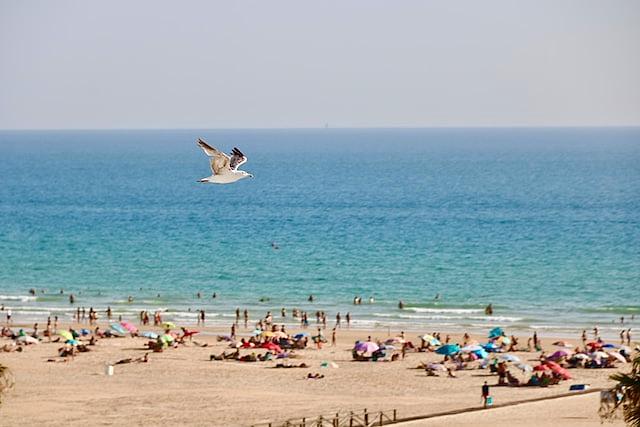Conil de la frontera, Cádiz beach