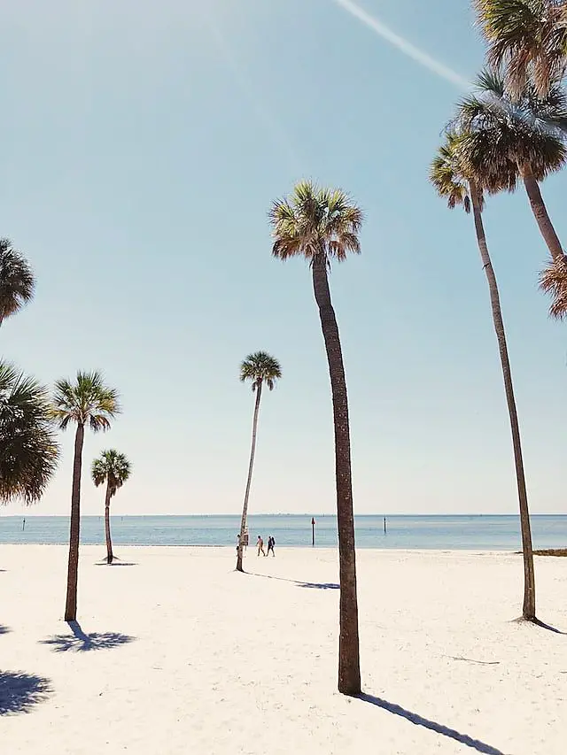 Tampa Florida cheap vacation spots