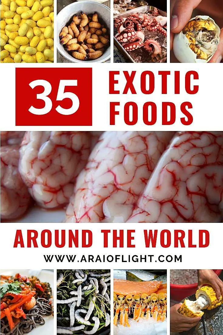 35 Unique + Bizarre Meals Across the World | Gross
