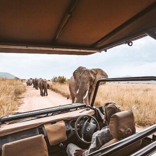 best African safari in Africa