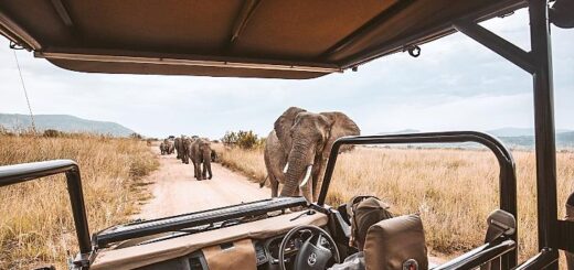 best African safari in Africa