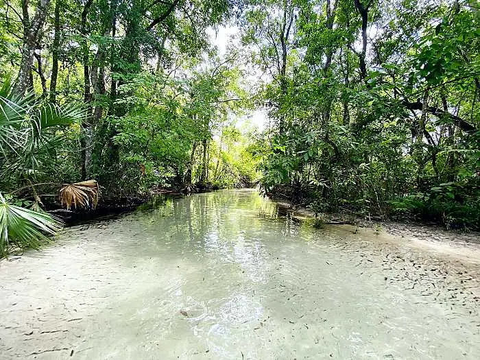 cheapest destinations florida Crystal River