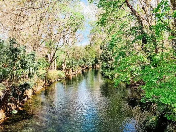 ocala Florida cheap places