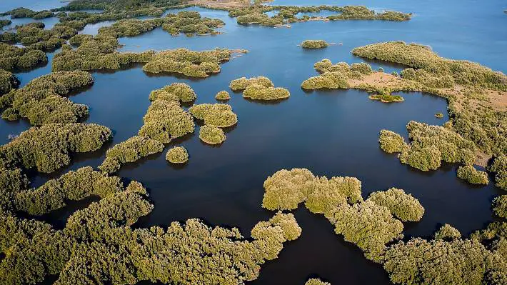 where to go in Florida on a budget cedar key