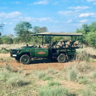safari pilanesburg kingdom resort